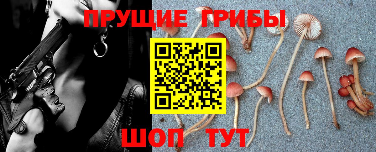 Псилоцибиновые грибы GOLDEN TEACHER  Вход с VPN  где купить наркоту  Находка 