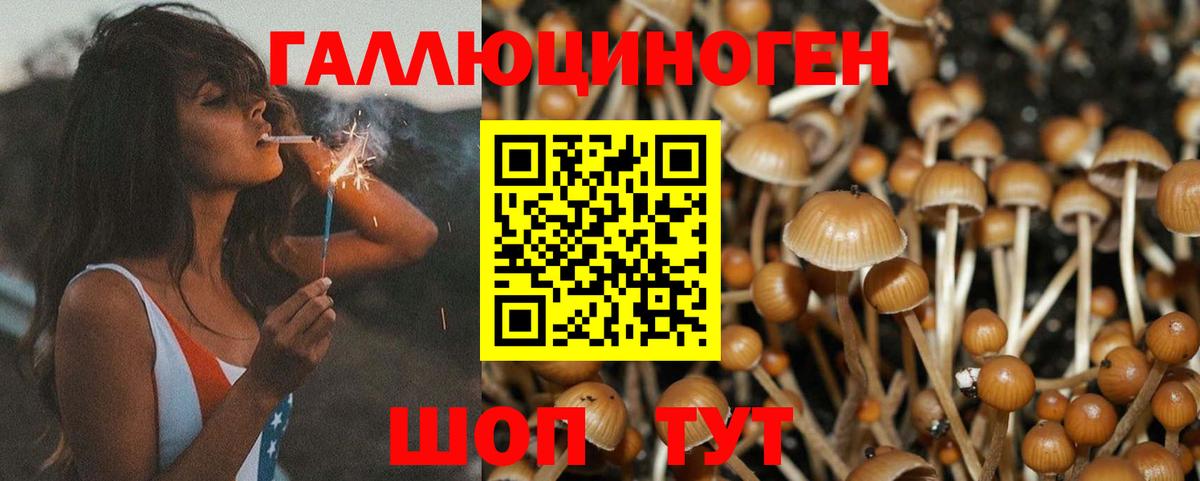 Псилоцибиновые грибы мухоморы Находка
